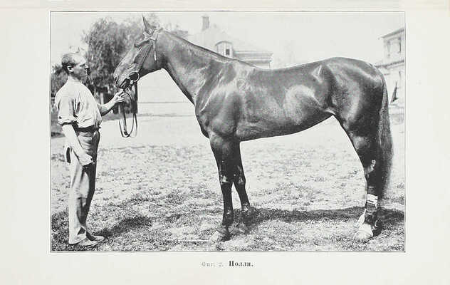 Кулешов П.Н. Тренировка рысаков / Сост. по Марвину и доп. по Сплэну, Маклеоду, Валлясу и др. 2-е изд., просм. и доп. СПб.: Изд. А.Ф. Девриена, 1897.